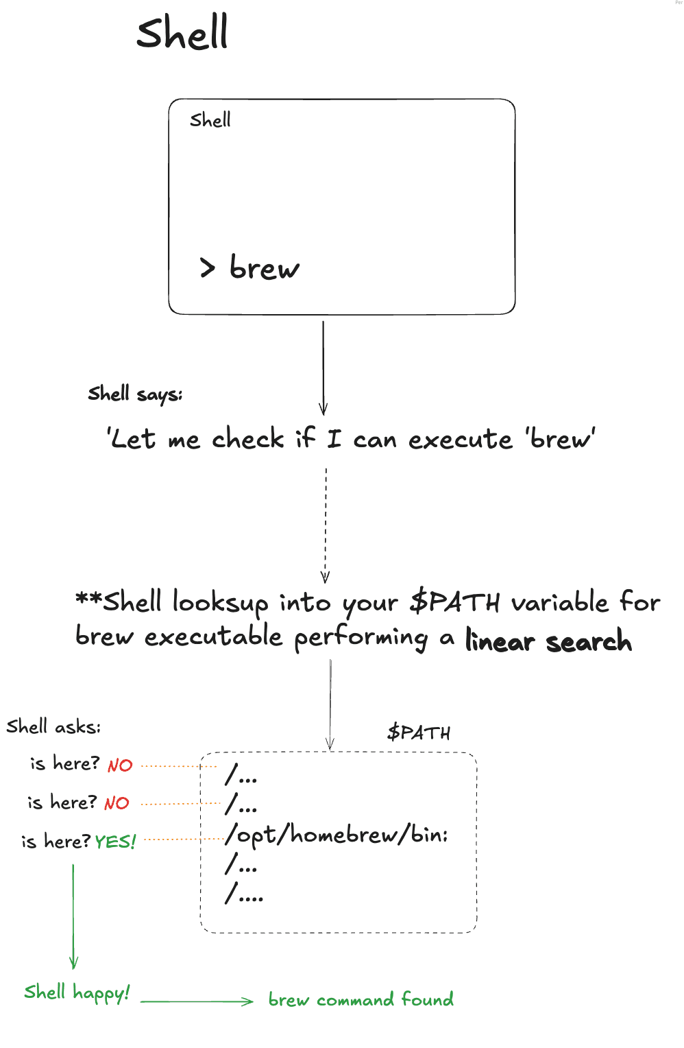 shell-linear-searchs